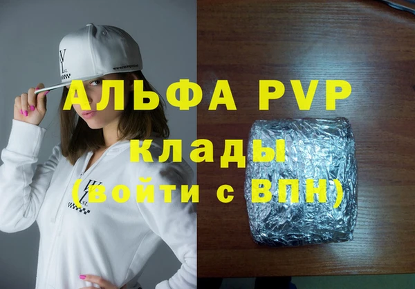 шишки Снежногорск