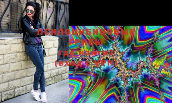 стафф Верхний Тагил