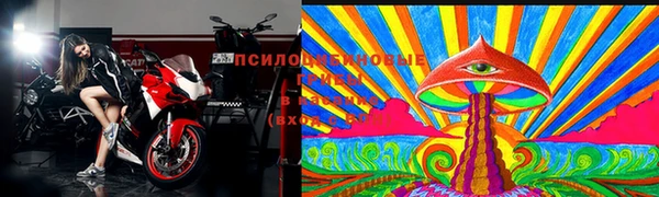 стафф Верхний Тагил
