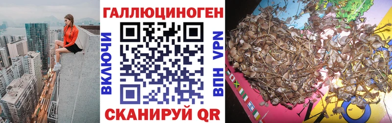 Галлюциногенные грибы GOLDEN TEACHER Новоржев