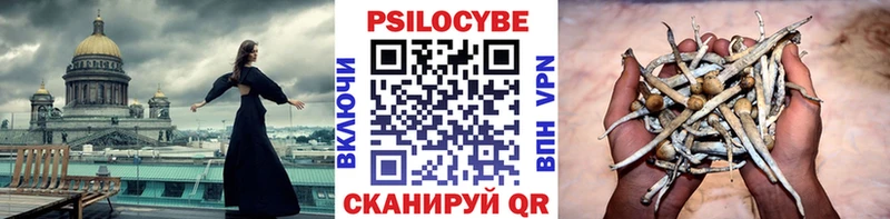 где найти наркотики Новоржев гидра маркетплейс Псилоцибиновые грибы MAGIC MUSHROOMS